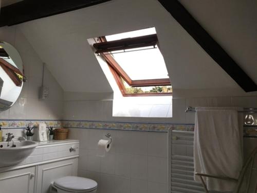 a bathroom with a toilet and a sink and a skylight at Stoneleigh Barn Bed and Breakfast in Sherborne