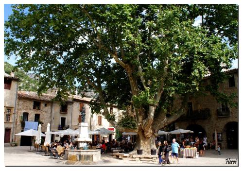 een groep mensen die onder een boom op een binnenplaats zitten bij Edelweiss in Saint-Guilhem-le-Désert