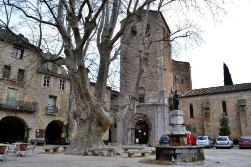 a large building with a tree in front of it at Edelweiss in Saint-Guilhem-le-Désert