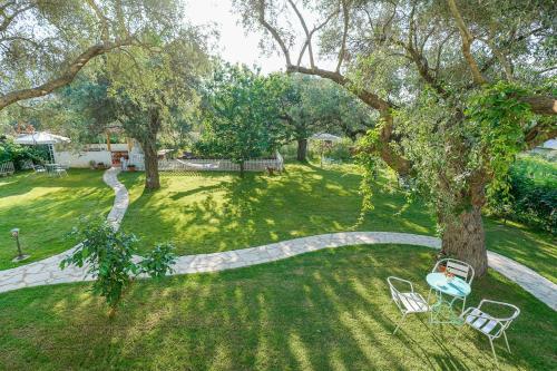 タソスにあるThe Olive Gardenの椅子と木のある庭園の景色