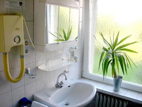 ein Badezimmer mit einem Waschbecken, einem Fenster und einer Pflanze in der Unterkunft Hotel Neustadt in Osnabrück