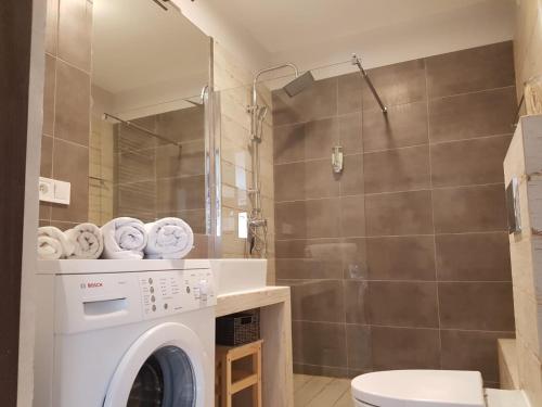 Ένα μπάνιο στο Apartament Country Centrum