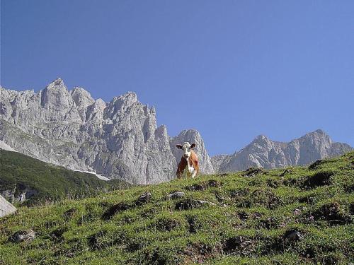 アパートメントから撮影された、または一般的な山の景色