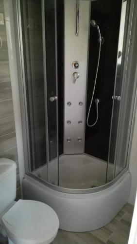 a bathroom with a shower and a toilet at Niezapominajka Kopalino in Kopalino