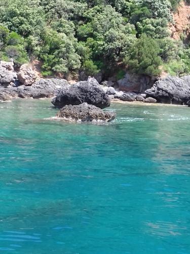 a small rock in the water next to a river at Tenuta del Bifan in Policastro Bussentino