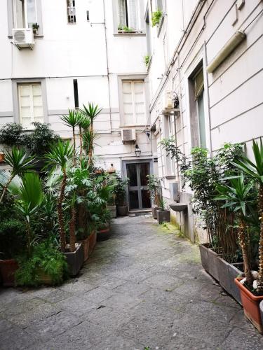 B&B Pantarei Napoli photo 102