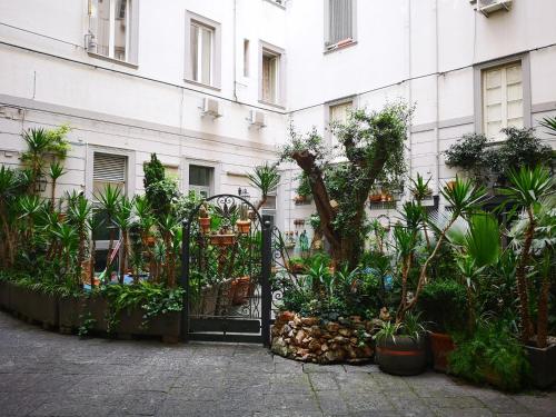 B&B Pantarei Napoli photo 90