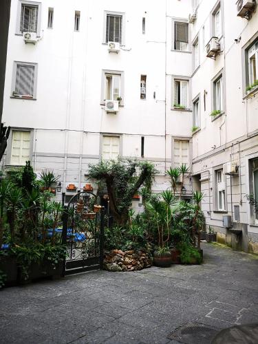 B&B Pantarei Napoli photo 103