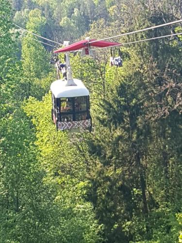 a cable car flying through the trees at Holiday Home Ermine in Sigulda