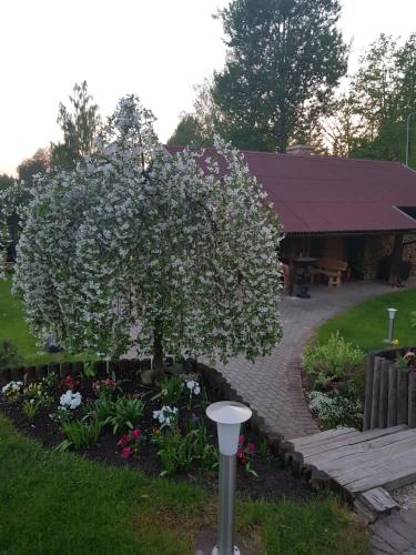 a tree with white flowers in a garden at Holiday Home Ermine in Sigulda