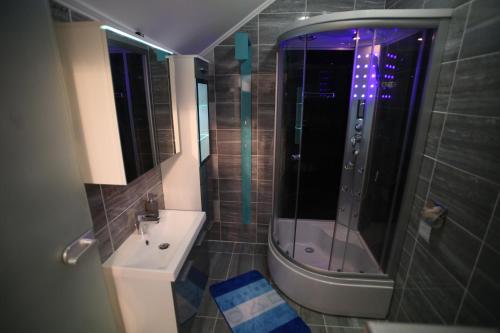 a bathroom with a shower and a toilet and a sink at Centrum Lux 2 Apartmanok in Kaposvár