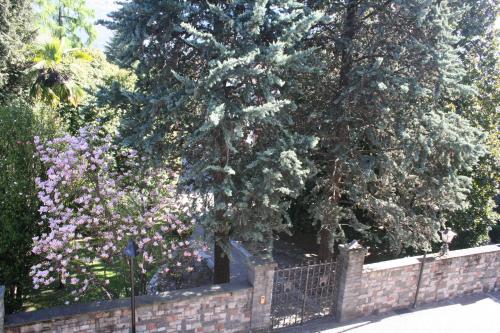 a tree over a brick fence with purple flowers at Apartment Irene - Casa Centro in Ascona