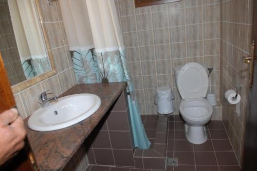a bathroom with a sink and a toilet at Natasa Rooms in Filippaioi