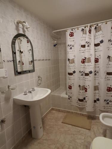 a bathroom with a sink and a shower curtain at Meridiano68 Apartment in Ushuaia