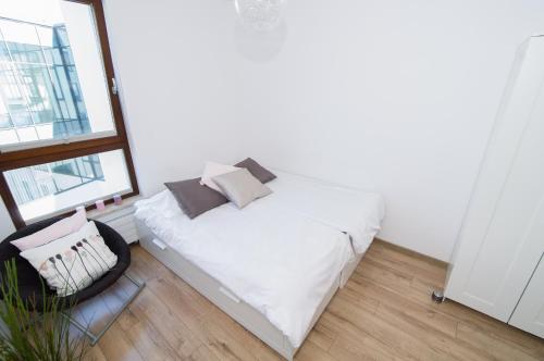 Chill Out Like A Local from Downtown Apt for 6 Parking