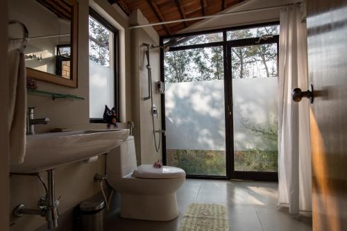 a bathroom with a toilet and a sink and a window at Dhole's Den Bandipur in Bandipūr