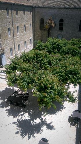 a large tree in front of a building at L'hôtel du Couvent in Vagnas