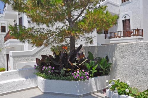 a planter with flowers and a tree in front of a building at Studios Akrogiali in Aegiali