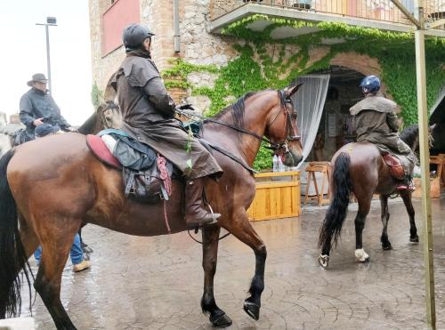 Άλλα ζώα σε αυτή η εξοχική κατοικία ή στη γύρω περιοχή
