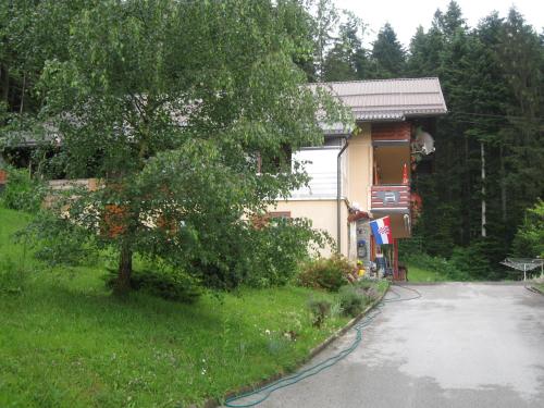 a house on the side of a road next to a tree at Apartment Medo in Ravna Gora