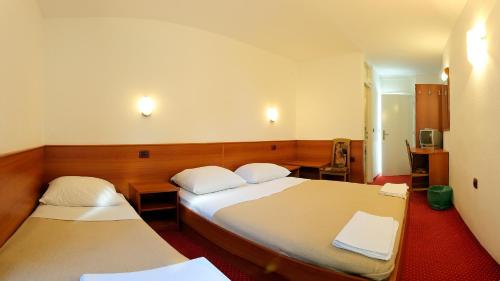 Gallery image of Hotel Luka in Luka