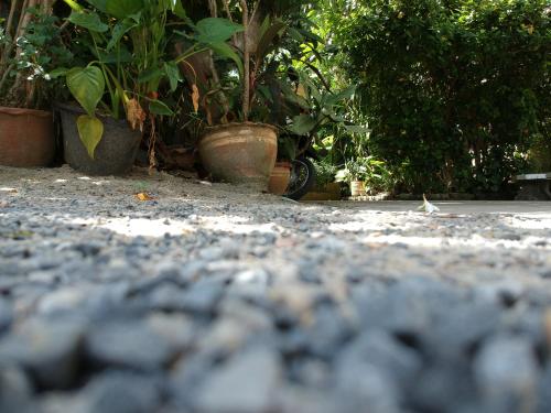 a group of potted plants sitting on the ground at Bonny Hotel 4 Floors No Elevator in Lamai