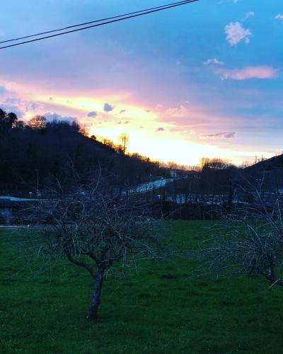 a tree in a field with the sunset in the background at Hotel - Apartamentos Peña Santa in Onís