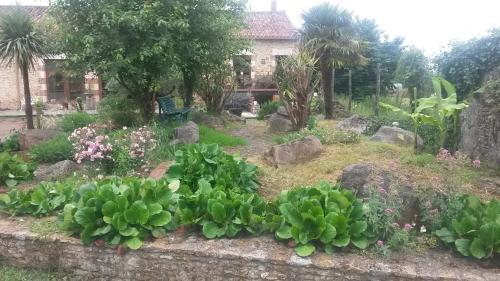 a garden with flowers and plants in front of a house at Le Patronage in Bazoges-en-Pareds