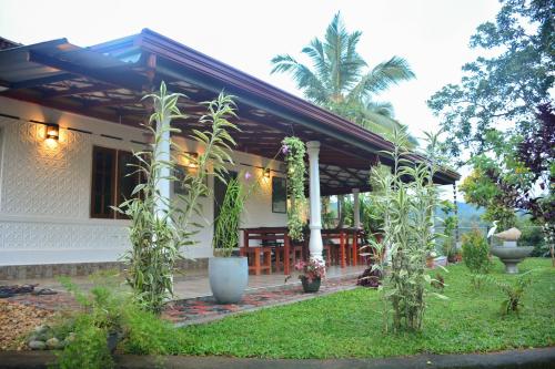Zahrada ubytování Rainforest Mount Lodge