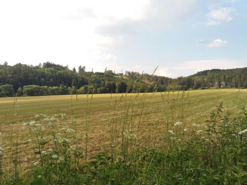 Příroda nedaleko apartmánu