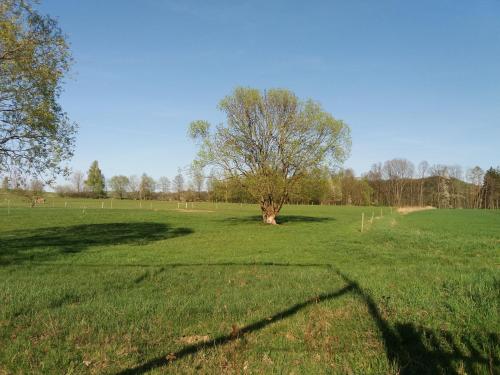 Příroda nedaleko apartmánu
