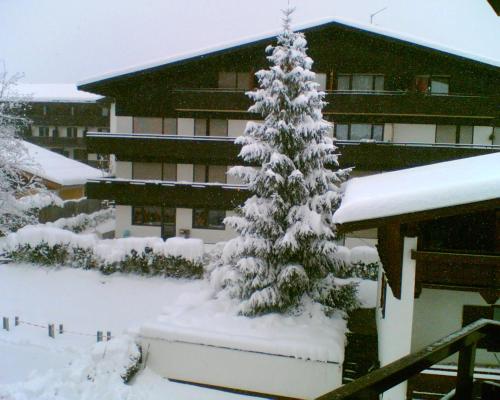 Apartement GYARMATY durante el invierno