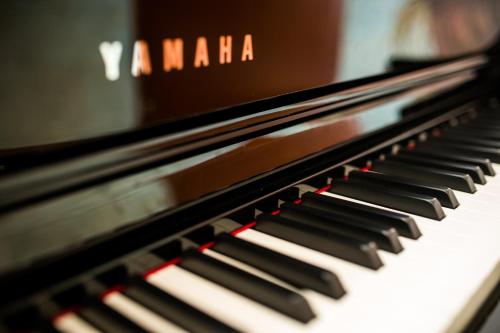 a close up of a piano keyboard at Hotel Olympic Spa & Wellness in Ustroń