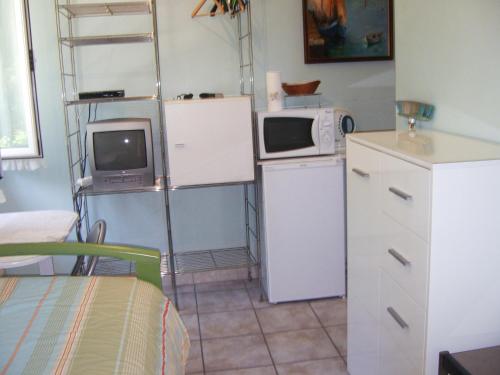 a kitchen with a refrigerator and a microwave at Les lilas blancs in Villefranche-sur-Mer