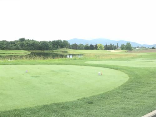 a golf course with a view of a green at Hotel Landhaus Moserhof in Gumpoldskirchen