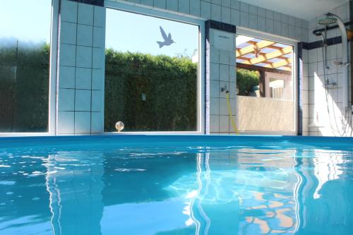 ein Schwimmbad mit einem Vogel, der durch das Fenster fliegt in der Unterkunft Ferienwohnung Rabenstein in Dornum