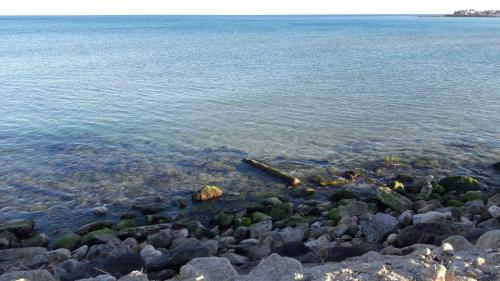 a group of rocks in the water at Villa Midolo in Noto Marina