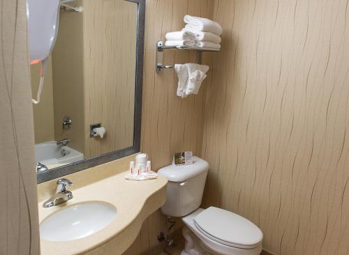 a bathroom with a sink and a toilet and a mirror at Howard Johnson Plaza by Wyndham by the Falls Niagara Falls in Niagara Falls