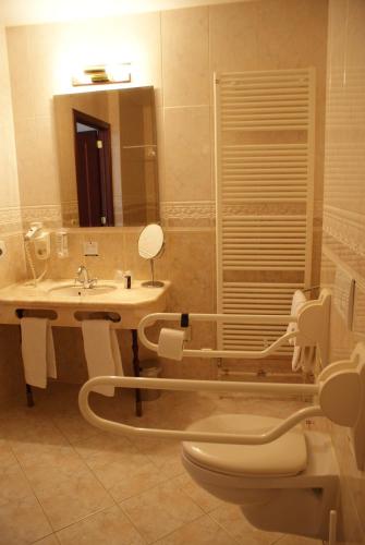 a bathroom with a sink and a toilet and a mirror at Fletcher Hotel-Restaurant de Dikke van Dale in Sluis
