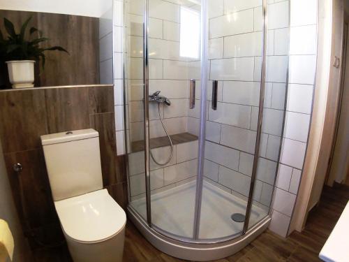 eine Dusche mit Glastür neben einem WC in der Unterkunft Apartments Zara in Pirovac