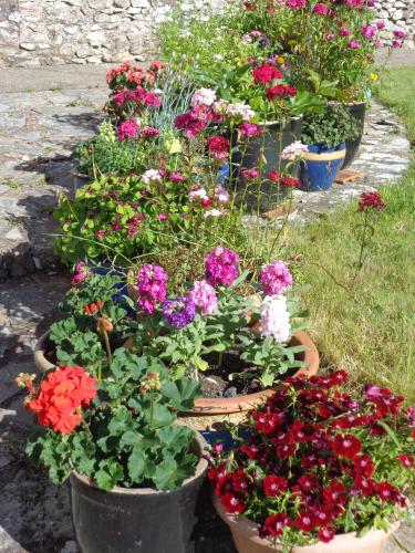 Lodge House B&B – Photos 4