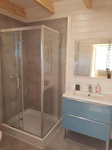a bathroom with a shower and a sink at Domek Aneczka Dębina in Dębina