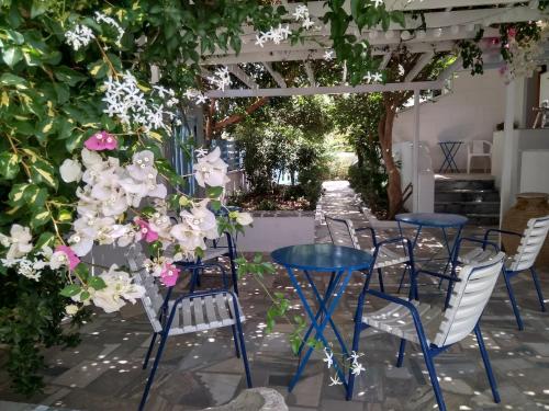 Gallery image of Pension Chanioti in Parikia