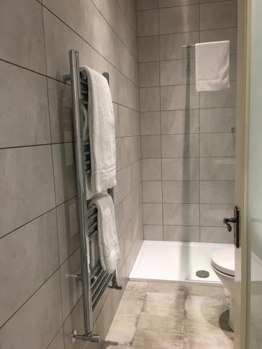 a bathroom with a shower with a toilet and a tub at Morehampton Townhouse in Dublin