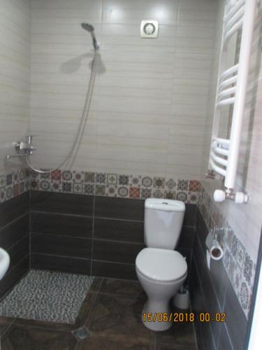 a bathroom with a toilet and a shower at Guesthouse Elli & Cottages in Stepantsminda