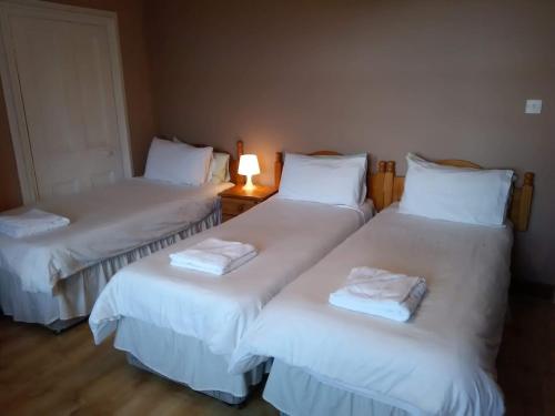 a hotel room with two beds and two nightstands at Arbour Guest House in Oban