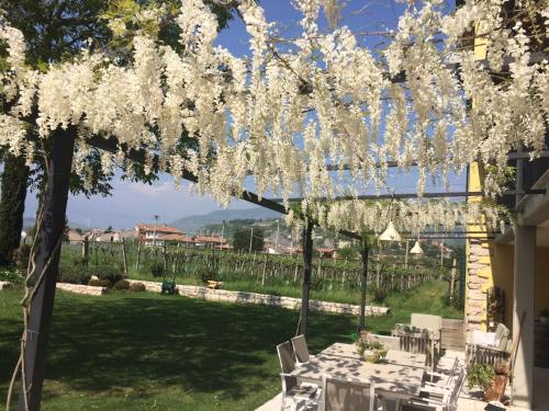 Giardino di B&B CAMPAGNON VALPOLICELLA
