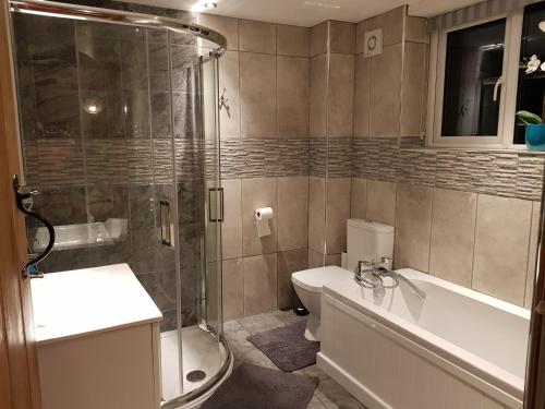 La salle de bains est pourvue d'une douche, d'un lavabo et de toilettes. dans l'établissement yew tree cottage, à Hereford