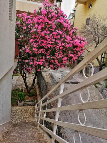 Galería fotográfica de Vojinovic Apartments en Budva