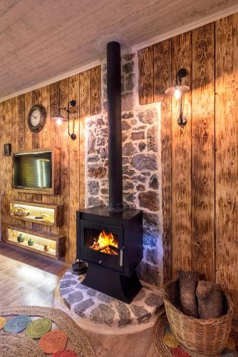 a fireplace in a living room with wooden walls at Krassopsychia Apartments in Krásion